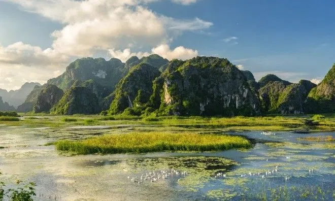 Đắm mình vào vẻ đẹp yên bình, thơ mộng ở Đầm Vân Long - Ninh Bình
