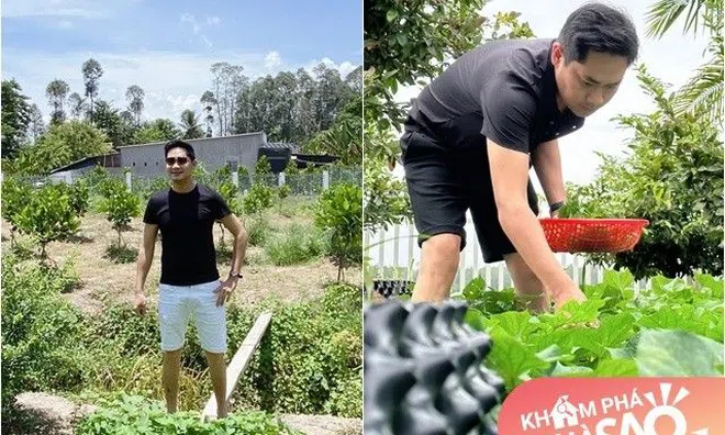 Trai đẹp U40 chưa vợ Minh Luân có nhà vườn 3.000m2, về quê khoe vườn rau "đã đời"