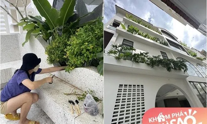 Vân Trang làm nông dân trong cơ ngơi rộng 1.000 m2, chở hơn 2 tấn đất từ quê lên Sài Gòn trồng cây