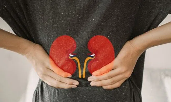 4 món ăn bổ thận, 3 việc giúp dưỡng thận, mùa đông chăm làm để cả năm khỏe mạnh