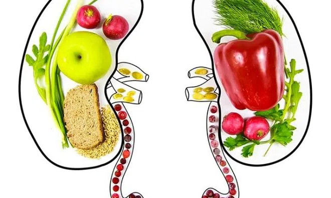 11 thực phẩm tưởng lành nhưng hóa ra lại rất "độc" với thận, một kiểu người càng phải tránh