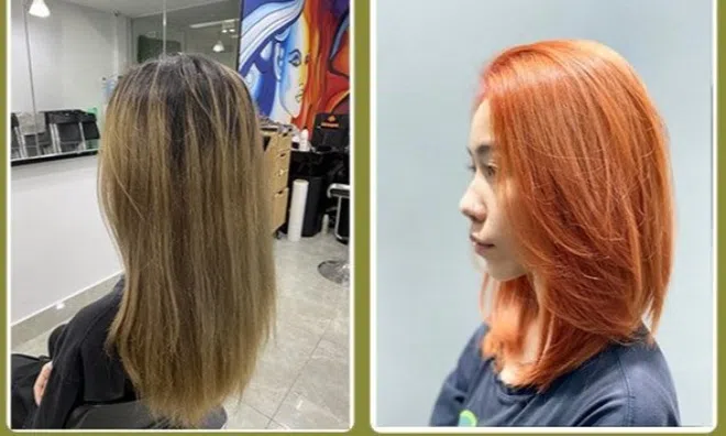 Chiêm ngưỡng xu hướng màu nhuộm hot trend 2024 với màu nhuộm thuần chay