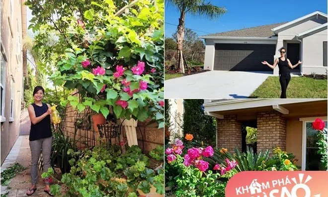 Khối tài sản "khủng" của Hồ Lệ Thu sau 3 đời chồng: Nhà ở biển rộng 1.000m2, nhà thứ 2 đẹp như công viên