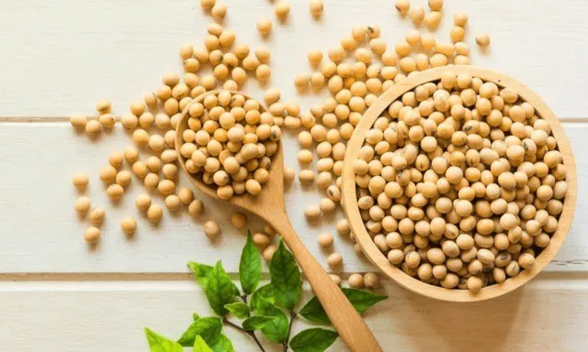 Ăn quá nhiều đạm có thể gây hại cho thận, nghiên cứu chỉ ra món này là "chiến binh" bảo vệ thận