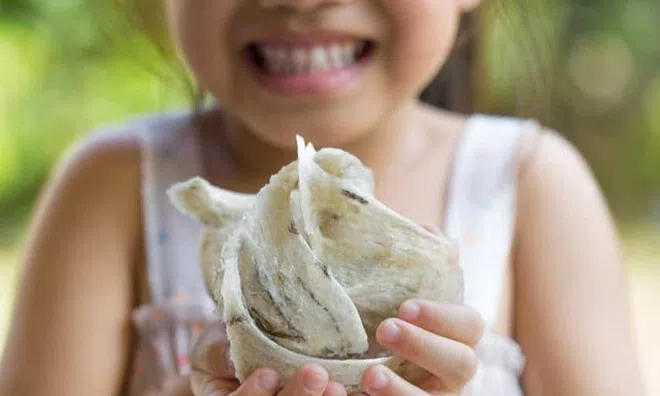 Tổ yến bổ dưỡng, cho trẻ ăn có bị dậy thì sớm? Bác sĩ chỉ ra điều đáng lo hơn