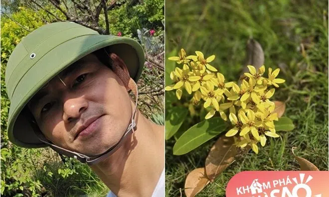 NSND Xuân Bắc bận bịu vẫn làm nông ở "biệt phủ" ngoại ô, khoe cả hoa cả cỏ trong vườn rộng