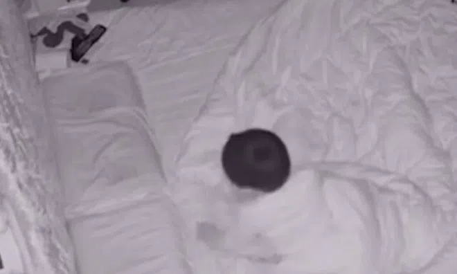 Bố đi làm để con ở nhà một mình, 1h sáng về, bật khóc khi chứng kiến cảnh tượng trong phòng ngủ