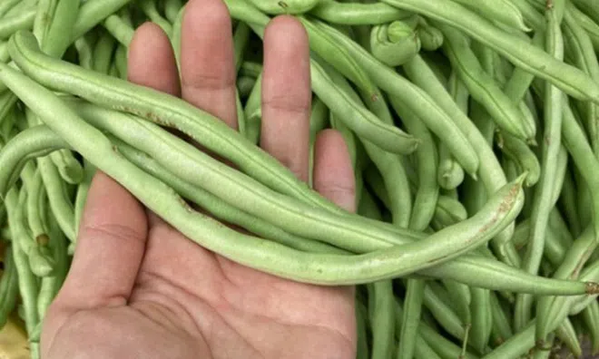 Ít người biết, 4 loại rau phải chần qua nước sôi trước khi nấu cho trẻ ăn, vừa ngon hơn lại giúp thải độc