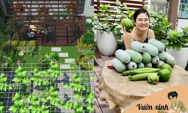 Mẹ 4 con Hà Nội bỏ 200 triệu làm khu vườn 100m2 trên sân thượng, nhìn giàn rau củ xanh mướt mà mê