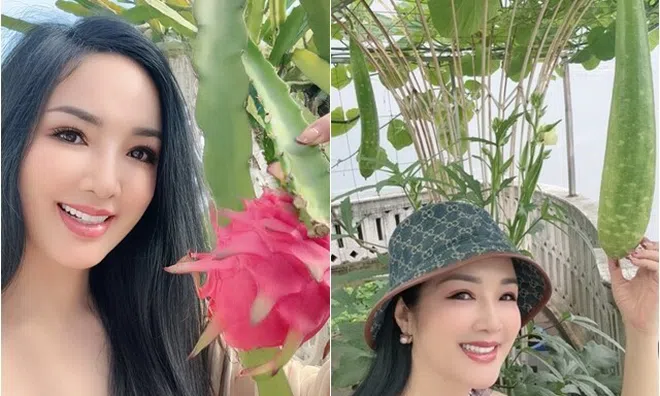 "Hoa hậu độc nhất vô nhị Việt Nam" mát tay trồng quả ngọt trên sân thượng "lâu đài trắng" 1.000m2