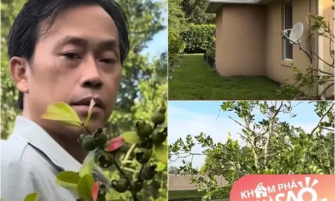 Em trai ruột hé lộ khu vườn rộng nhà Hoài Linh bên Mỹ, có cây ổi lạ và nhiều cây trái Việt Nam
