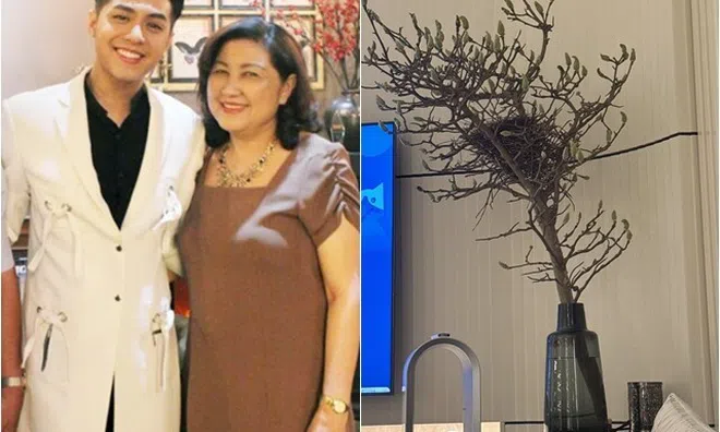 Mẹ ruột Noo Phước Thịnh thuộc hệ thích chơi hoa nhưng bê cả tổ chim về làm quý tử "choáng váng"