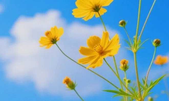 Sở hữu 3 đặc điểm này, 9 phần 10 là người may mắn