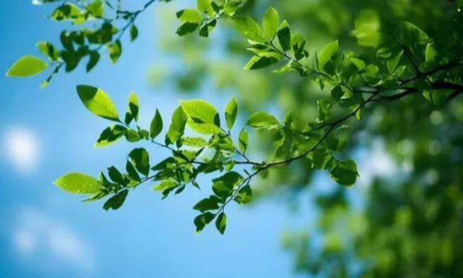 Muốn biết một gia đình nhiều may mắn, phước lành hay không, nhìn vào 2 chữ này là rõ