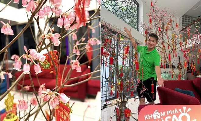 Cành đào chuông Yên Tử lạ mắt "vượt ngàn trùng" đến tay Đàm Vĩnh Hưng: "Lung linh và quý lắm"