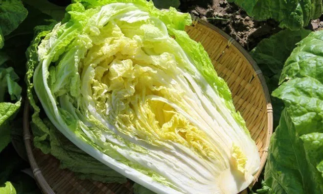 13 loại rau lá mùa Xuân "tốt nhất thế giới", thích hợp trong mâm cơm Tết Bính Ngọ cho cả nhà, giá từ 15.000 đồng/kg