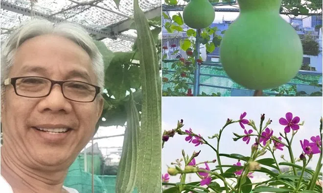 "Nông trại tầng thượng" 40m2 giữa lòng Sài Gòn của NSƯT Trung Dân: Mướp khía, bầu hồ lô lủng lẳng đầy đầu!
