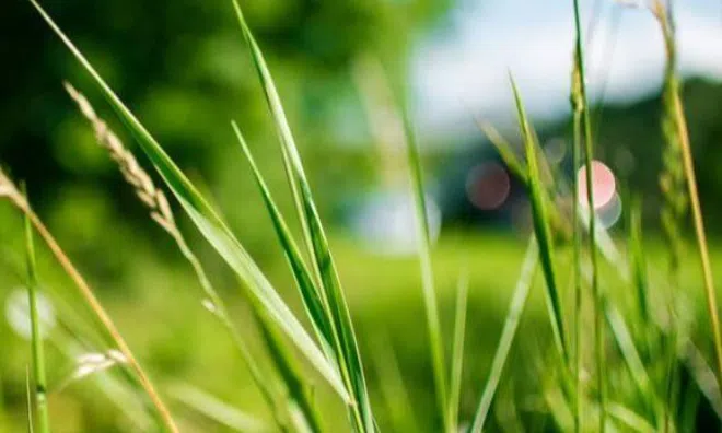 Sau tuổi 40, người khôn ngoan đóng lại 3 cánh cửa này