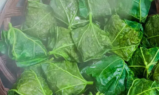 Món "nhà nghèo" xưa ăn đến chán ngán, nay thành đặc sản khoái khẩu nhiều người ưa chuộng, tốt cho sức khoẻ