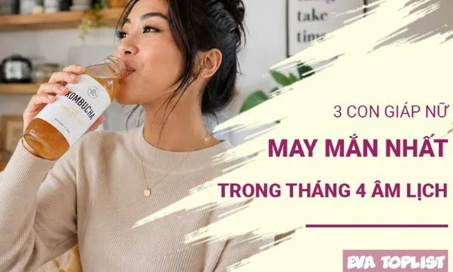 3 món tráng miệng ngon mát giúp bổ sung lợi khuẩn, tốt cho hệ tiêu hóa