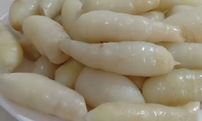 Món nhà nghèo xưa ăn đến chán ngán, nay thành đặc sản khoái khẩu ở thành phố giá 100.000 đ/kg, tốt cho sức khỏe