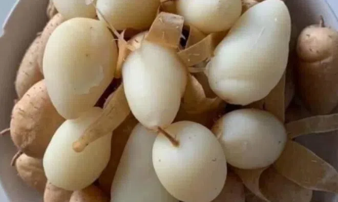 Món nhà nghèo xưa ăn đến chán ngán, nay thành đặc sản khoái khẩu ở thành phố giá 60.000 đ/kg, tốt cho sức khỏe