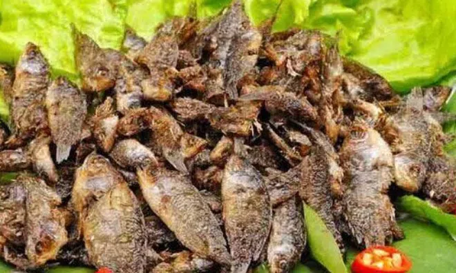 Đặc sản mỗi năm chỉ có một mùa, xưa dành cho "người nghèo" nay được ưa chuộng ở thành phố giá 120.000 đ/kg, tốt cho sức khỏe