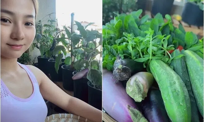 Diễn viên Khánh Hiền có khu vườn ban công nhỏ nhưng thu hoạch đã tay, "trông ngóng như chăm người yêu"