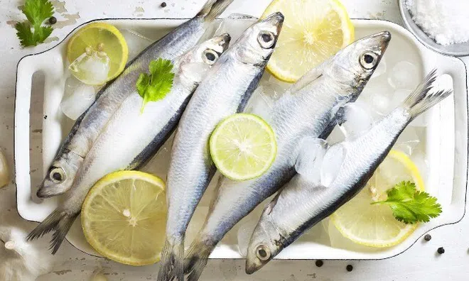Loại cá tốt trên thế giới, ở Việt Nam vào mùa bán đầy chợ giá chỉ từ 70.000 đ/kg, giàu dưỡng chất hơn cá hồi