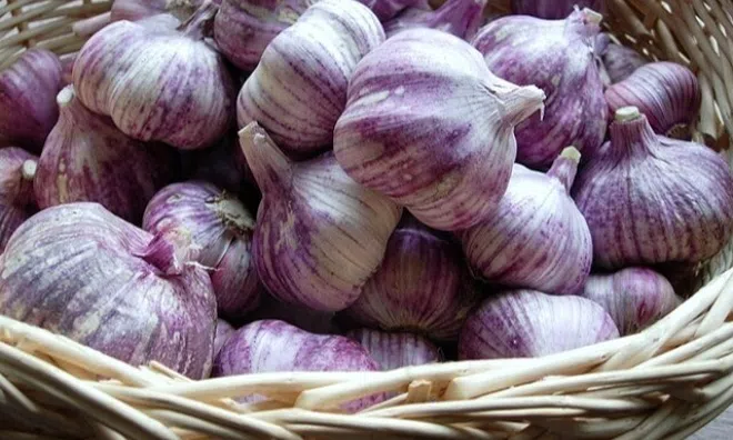 Tỏi bán đầy chợ nhưng có 4 củ này đừng mua, vừa phí tiền có khi còn rước bệnh