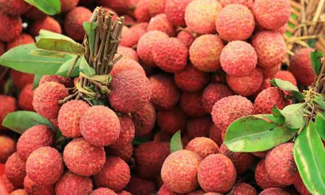 Những thực phẩm là 'kẻ thù' của quả vải: Ăn sai cách có thể rước bệnh vào người