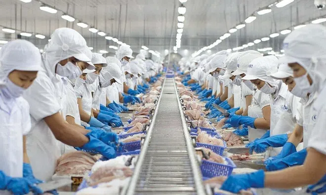 Thị trường nội địa là điểm sáng doanh thu của Vĩnh Hoàn