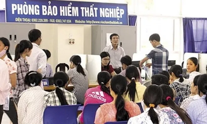 Mức hưởng trợ cấp thất nghiệp tối đa năm 2024, ai cũng nên biết