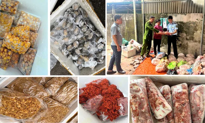 Rùng mình 4 tấn thực phẩm không rõ nguồn gốc suýt vào quán ăn ở Thanh Hóa