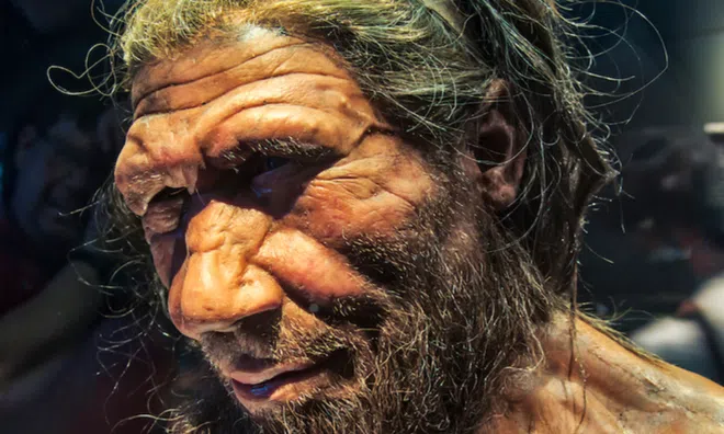 Tổ tiên chúng ta từng yêu ai? Hé lộ sự thật chấn động về dòng máu Neanderthal trong người hiện đại