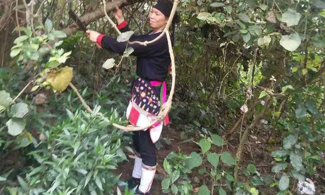 Kỳ 2: Bài thuốc bí truyền “xóa sổ” mọi đau đớn của bệnh xương khớp