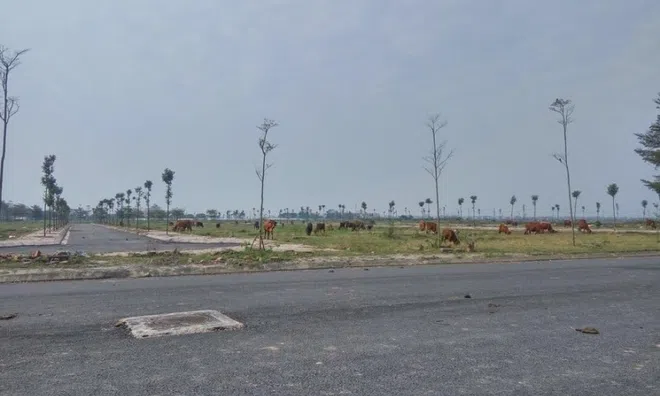 Hà Nội yêu cầu xóa sổ, thu hồi dự án chủ đầu tư "ôm đất" rồi bỏ hoang