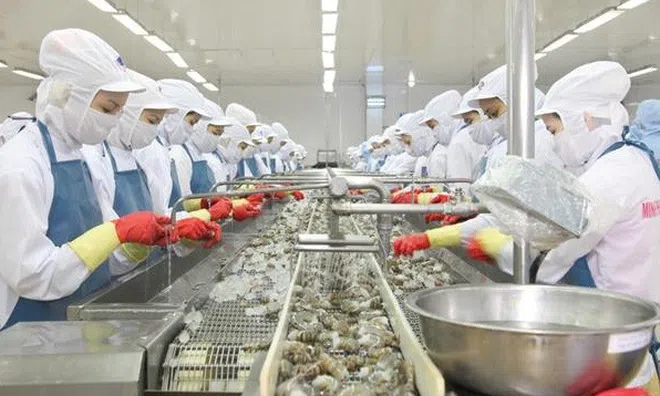 "Vua tôm" Minh Phú nhận hoàn lại gần 15 triệu USD cả gốc lẫn lãi từ cơ quan Mỹ
