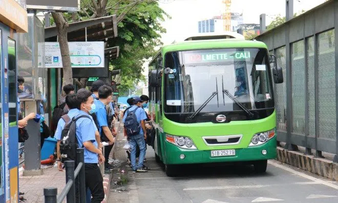 Thêm 8 tuyến xe buýt hoạt động trở lại ở TP.HCM từ 1/11
