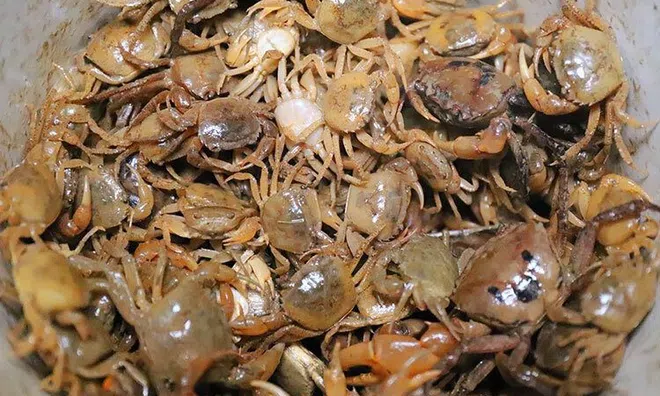Nấu canh cua theo cách này gạch đóng thành tảng, ngọt thơm, không tanh
