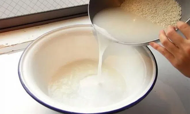 Những lợi ích bất ngờ từ nước vo gạo