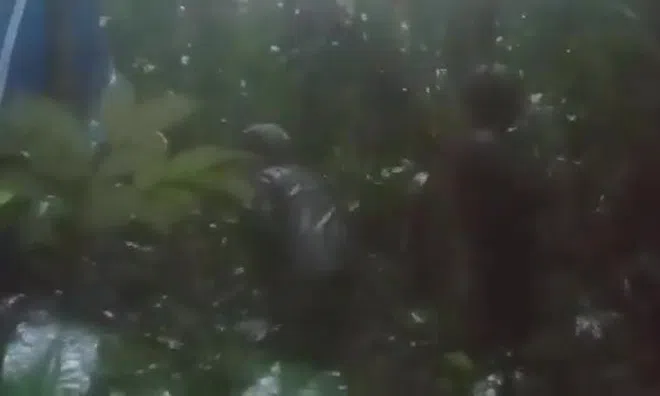 Rơi máy bay ở rừng nhiệt đới Amazon: Tìm thấy 4 trẻ em còn sống sau 16 ngày mất tích