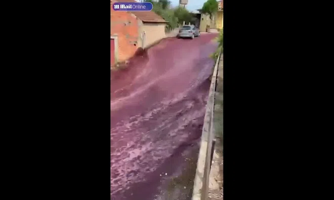Clip: Dòng sông rượu vang đỏ chạy qua khu dân cư gây kinh ngạc