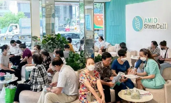"Phù phép" thuốc khớp thành tế bào gốc, Amino StemCell có thể bị phạt thế nào?