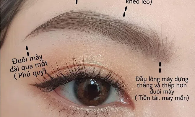 Thay sắc đổi vận, đón năm mới đầy tài lộc với dáng lông mày phong thuỷ