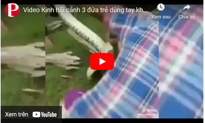Video: Kinh hãi cảnh 3 đứa trẻ dùng tay không tóm gọn trăn "khủng" đang quấn chặt con chó nhà