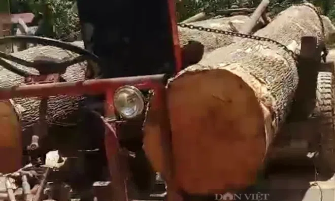 40 người cầm hung khí bao vây, đe dọa bảo vệ rừng để cướp gỗ tang vật