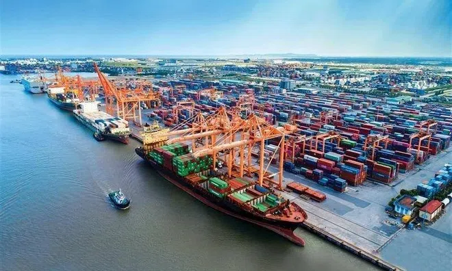 Cổ phiếu vận tải biển "dậy sóng" nhờ đâu?