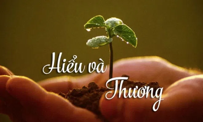 Trong đời người, có điều còn xa xỉ hơn cả tình yêu