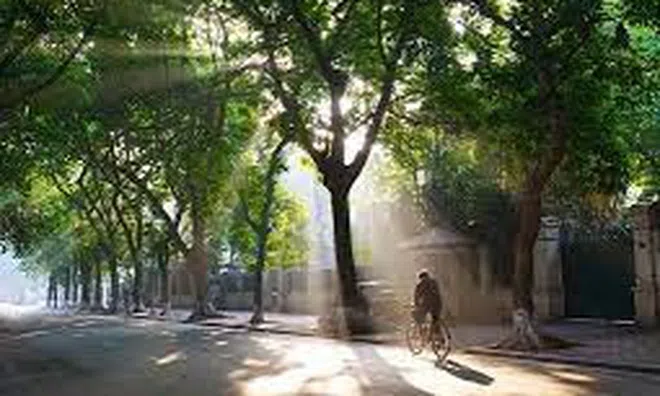 Dự báo thời tiết 15/12: Hà Nội ngày nắng, đêm lạnh buốt